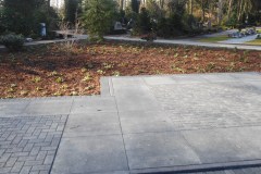 Betonsteinweg, Pflanzbeet mit Stauden